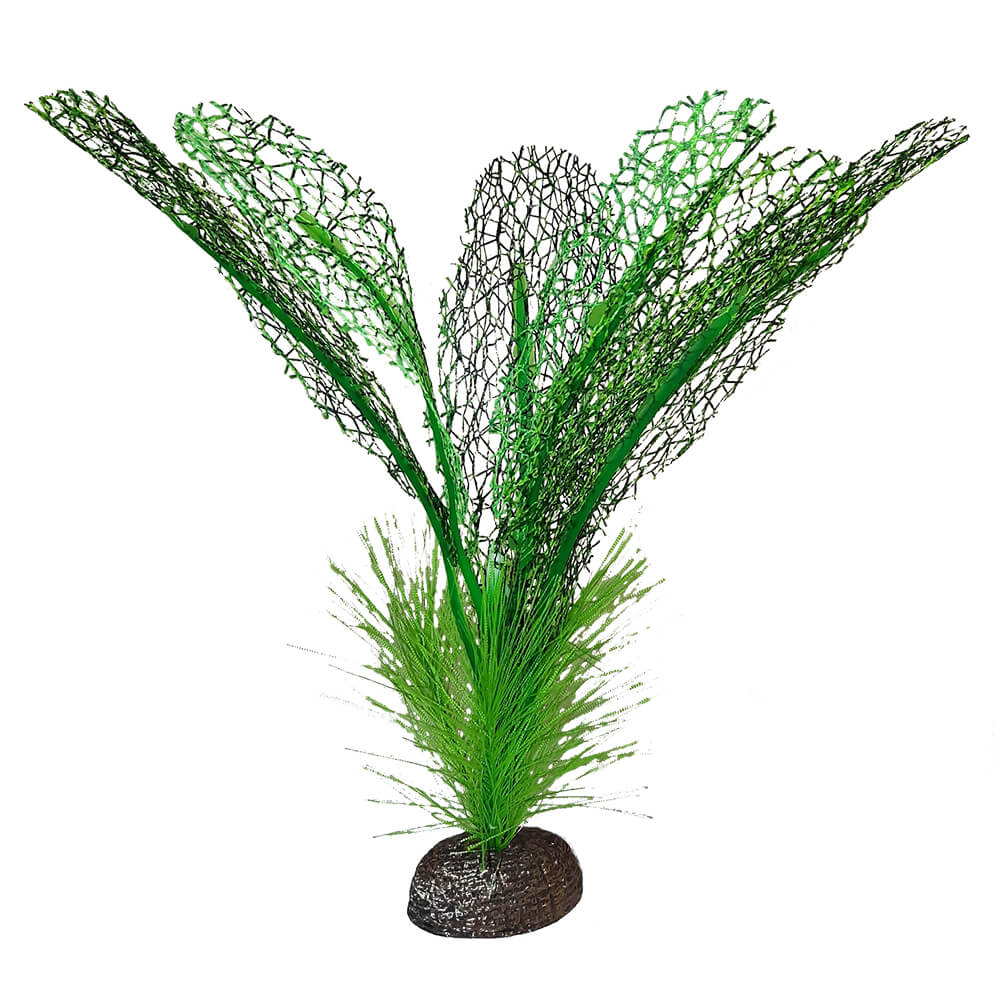 Hagen Pet Products - Betta Madagascar Lace Plant - Southern Agriculture 