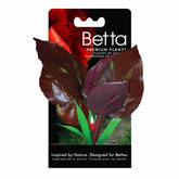 Hagen Pet Products - Betta Red Lizard's Tail Plant