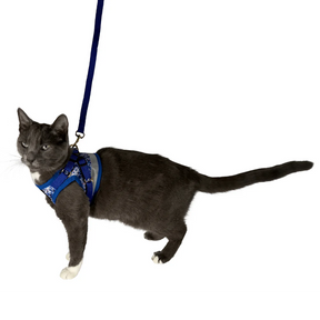 Travel Cat - Harness & Leash Set - "The Groovy Cat"
