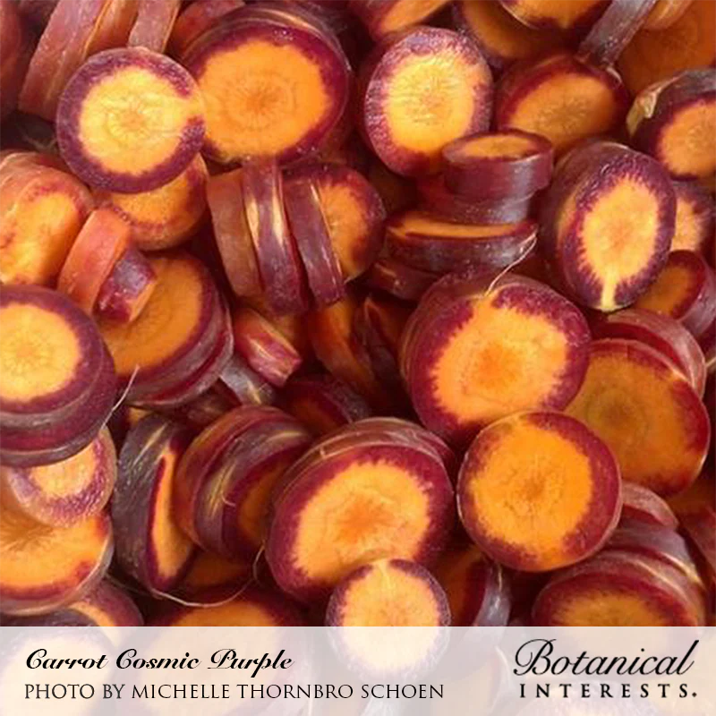 Botanical Interests, Inc. - Carrot Cosmic Purple Seeds - Southern Agriculture 