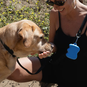Springer - Dog Treat Dispenser Pouch