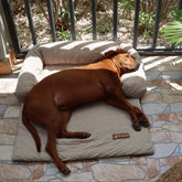 Pelsbarn - Cooling Dog Bed Heat Relief