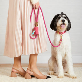 The Foggy Dog - Raspberry Gingham Valentine's Day Dog Collar