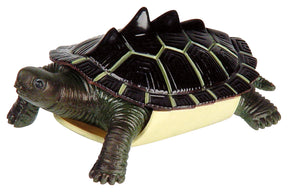 Toysmith - Turtle Squishanimals