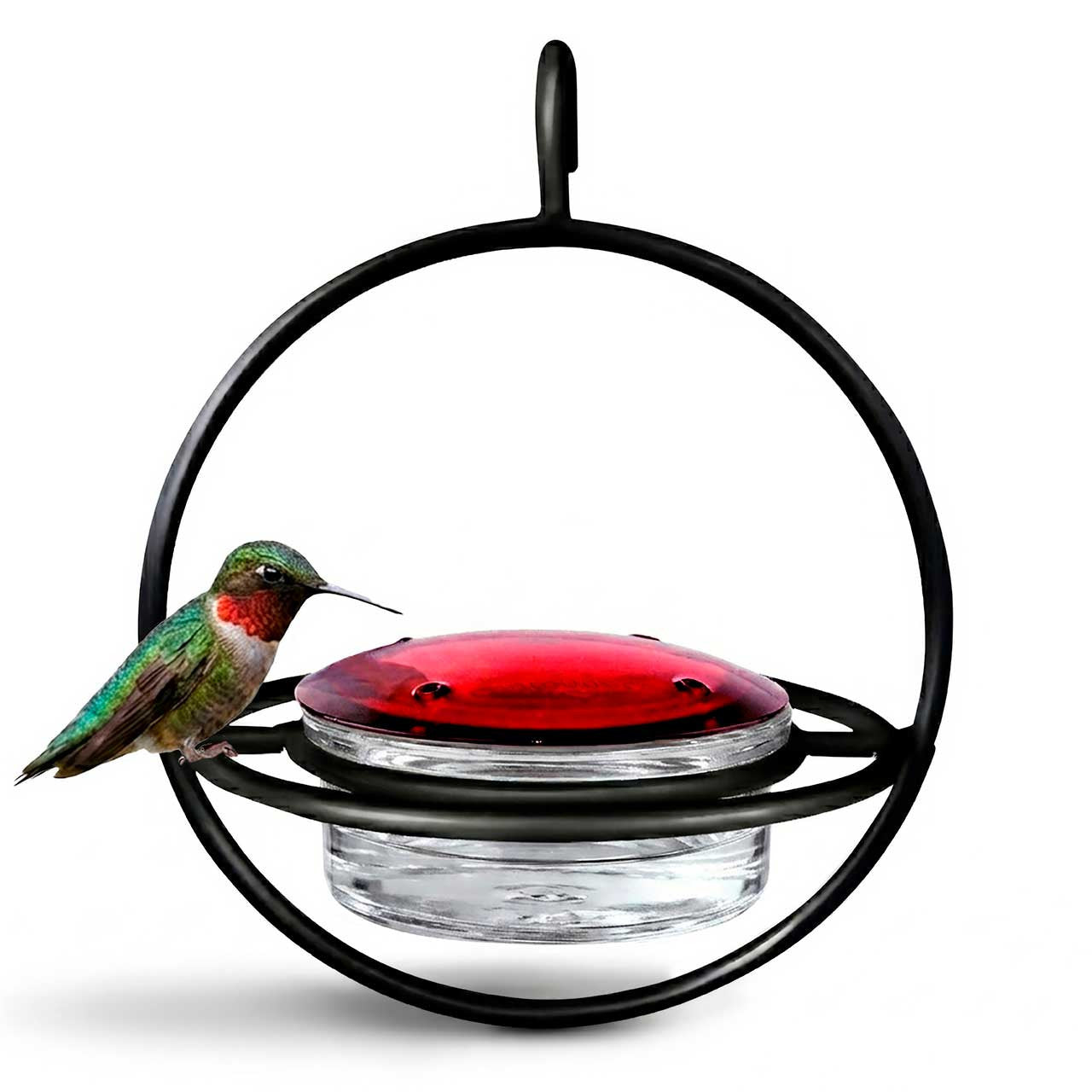 Couronne Co - Hummingbird Feeder Bold Mosaic Bird