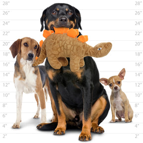 Tuffy Dog Toys - Mighty Dinosaur Stegosaurus Dog Toy