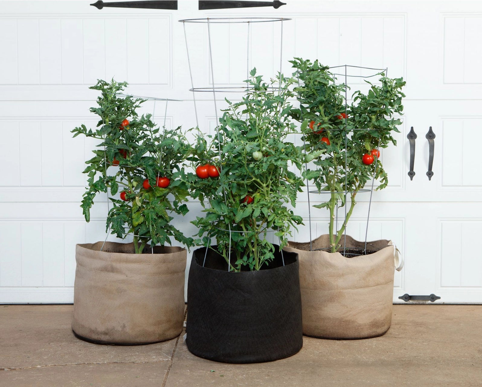 Smart Pot Natural With Handles