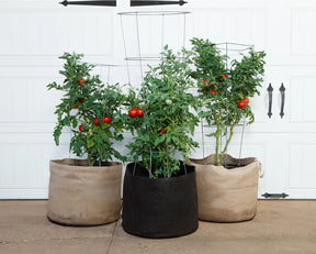 Smart Pot Natural With Handles