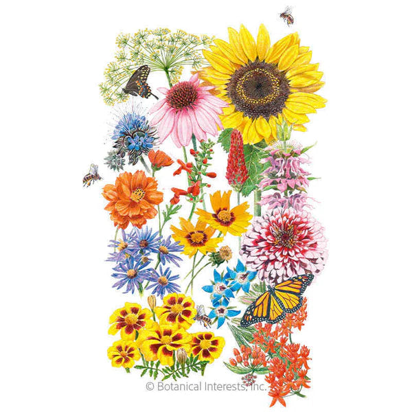 Botanical Interests, Inc. - Flower Mix "Precious Pollinator" Seeds - Southern Agriculture 
