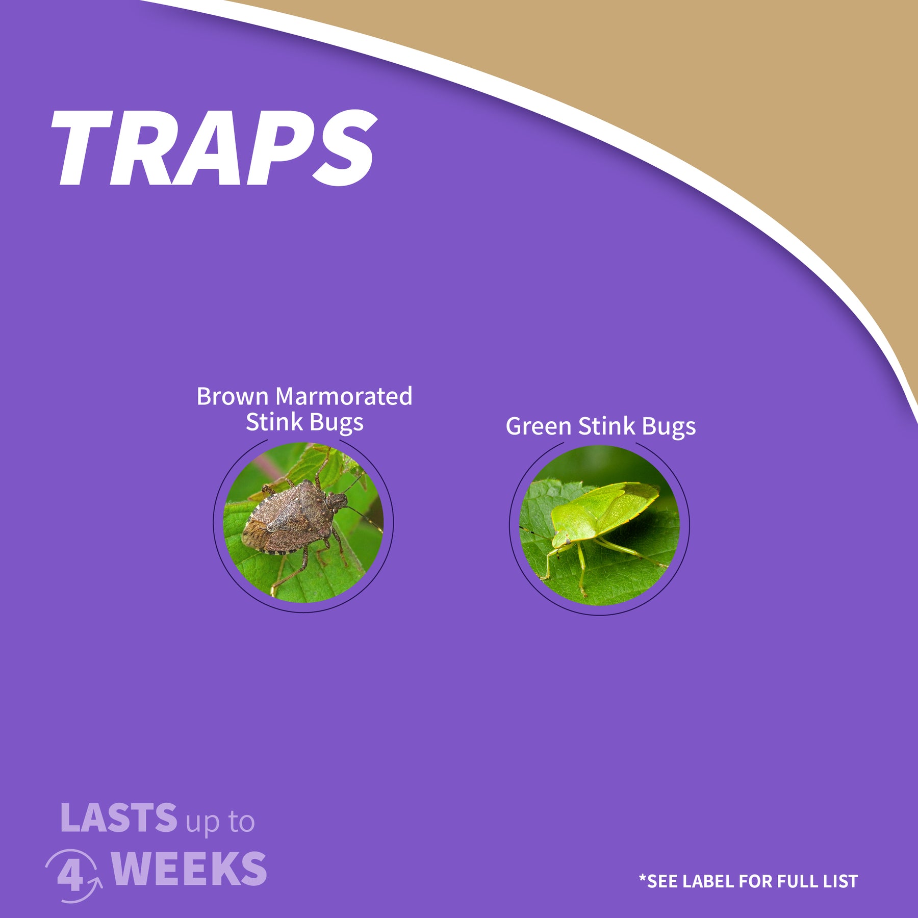 Bonide - Bug Beater Stink Bug Trap