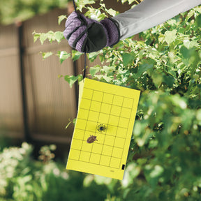 Bonide - Bug Beater Stink Bug Trap
