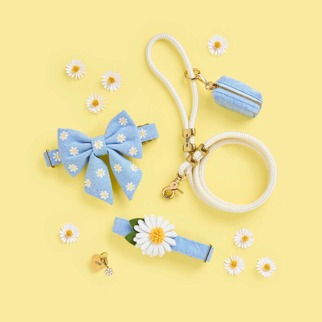 Foggy Dog - Dog Collar Blue Chambray
