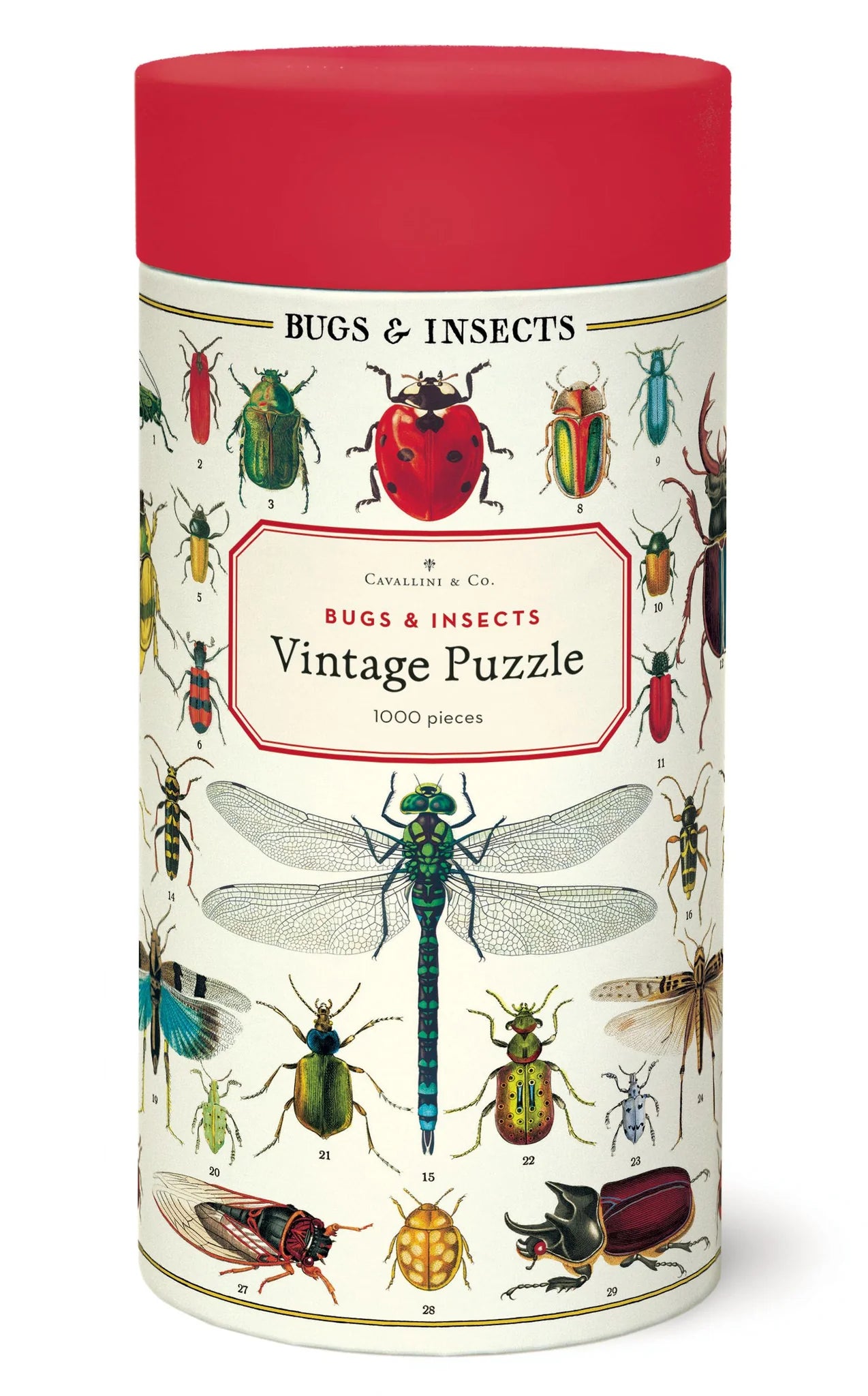 Cavallini & Co. - Puzzle Bugs & Insects - Southern Agriculture 