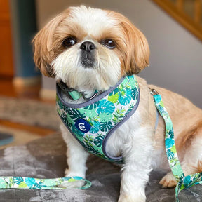 Blueberry Pet - Bahamas Vacation Dog Harness Vest