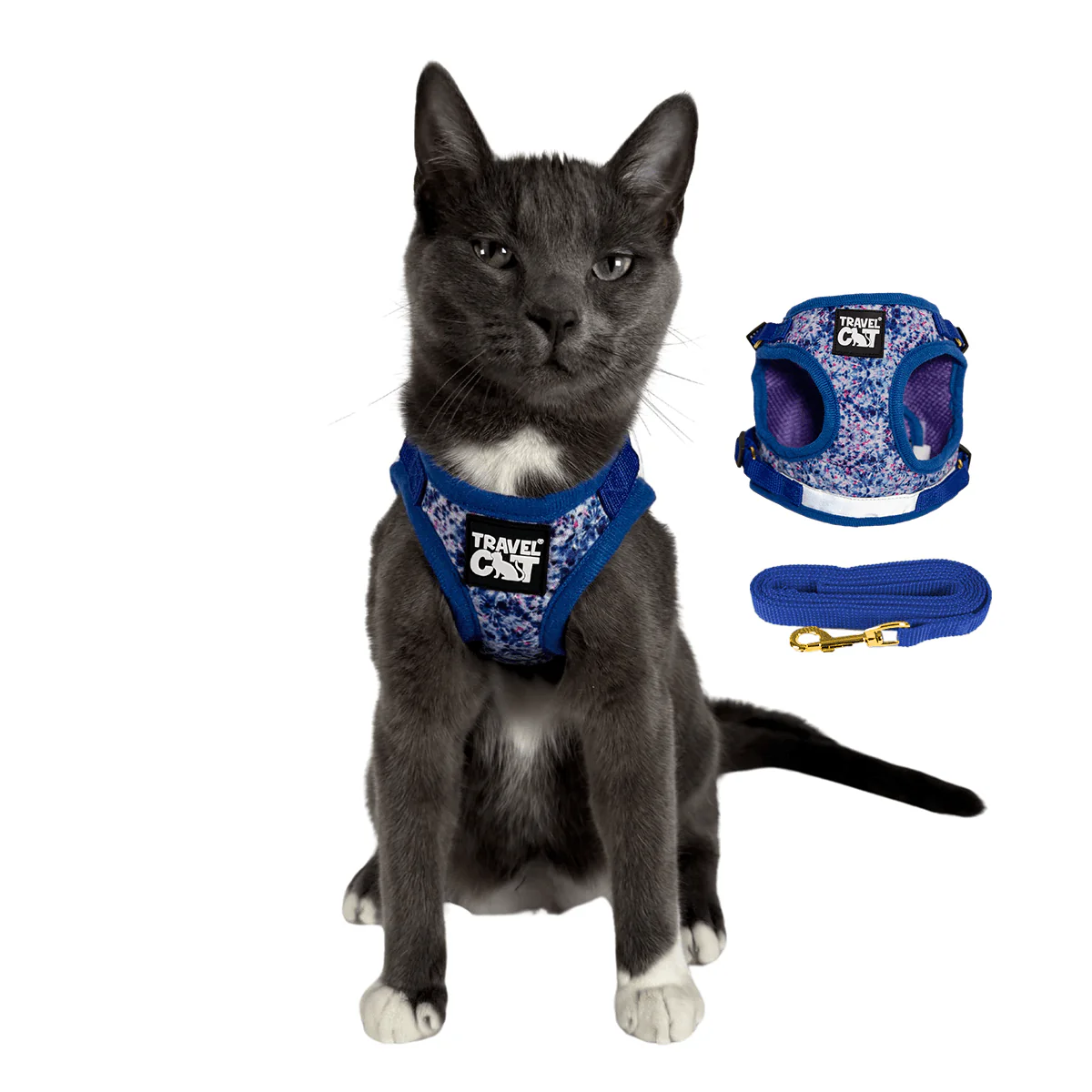 Travel Cat - Harness & Leash Set - "The Groovy Cat"
