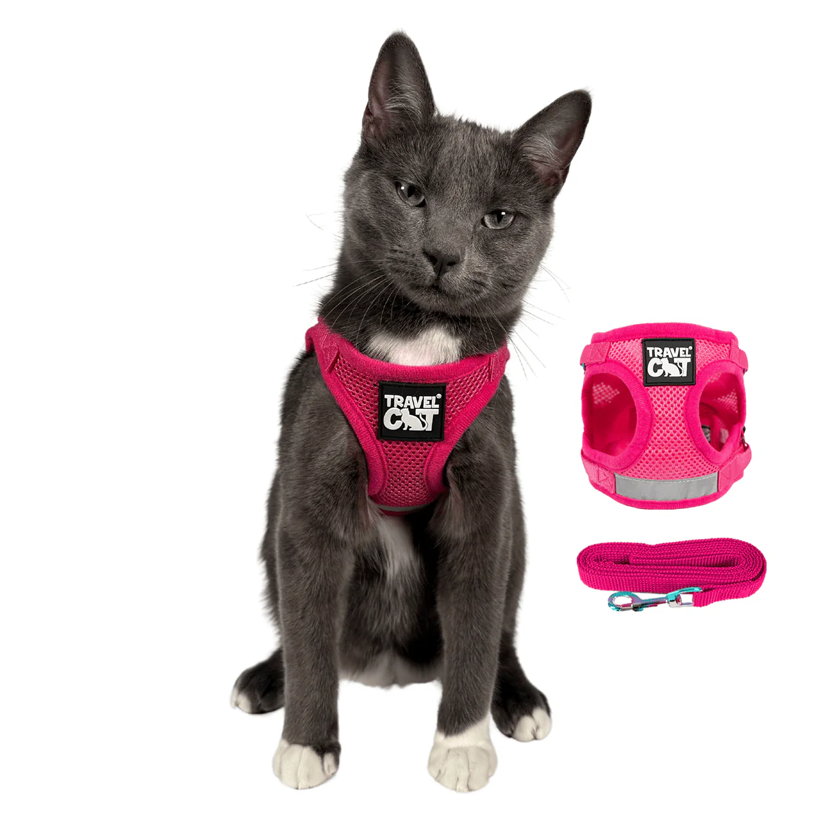 Travel Cat - Harness & Leash Set - "The Purrfectly Pink"
