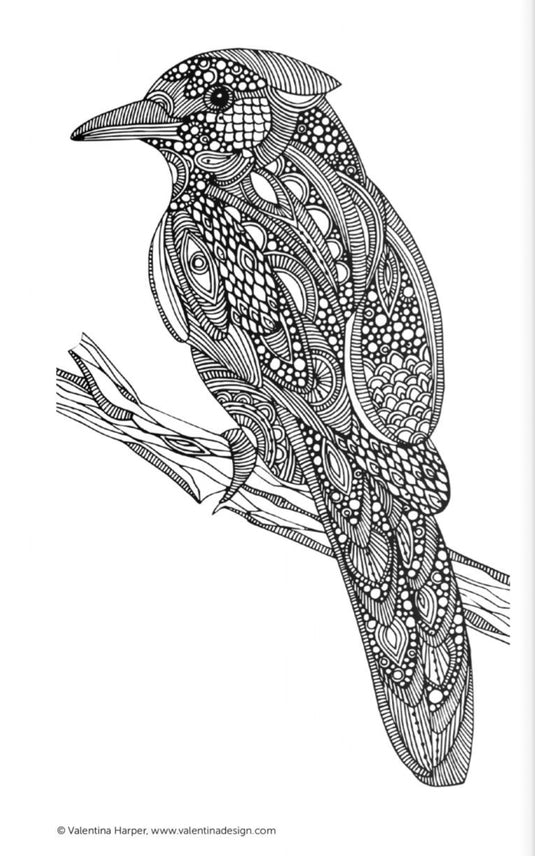 Wellspring- Coloring Book - Creative Calm