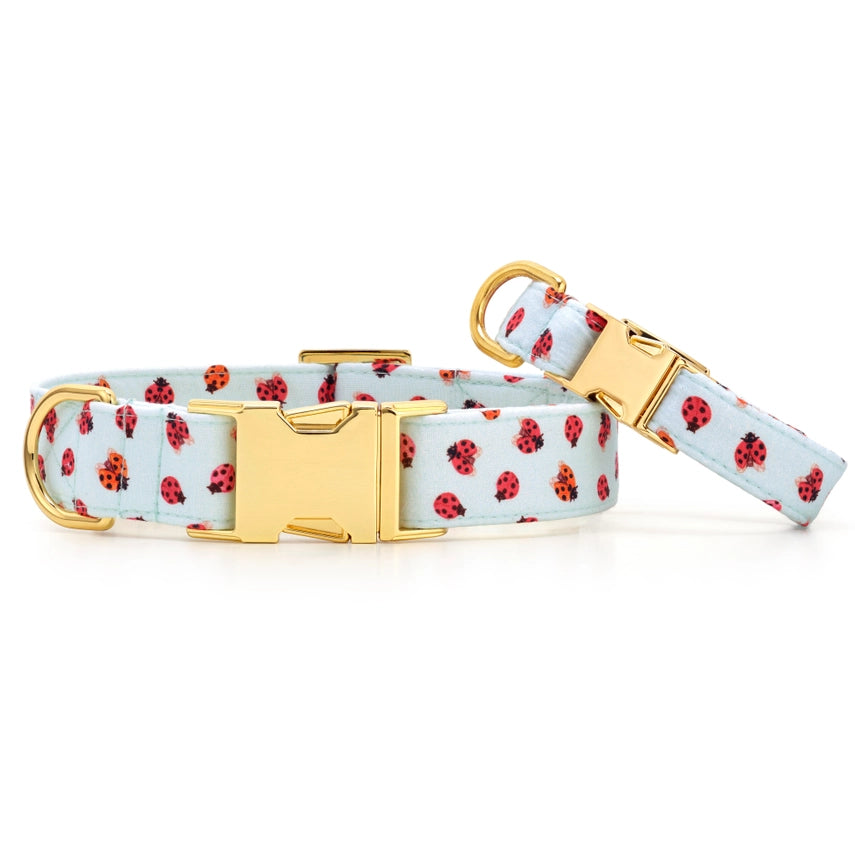 The Foggy Dog - Dog Collar Love Bug