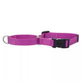 Coastal - No Slip Martingale With Buckle Orchid