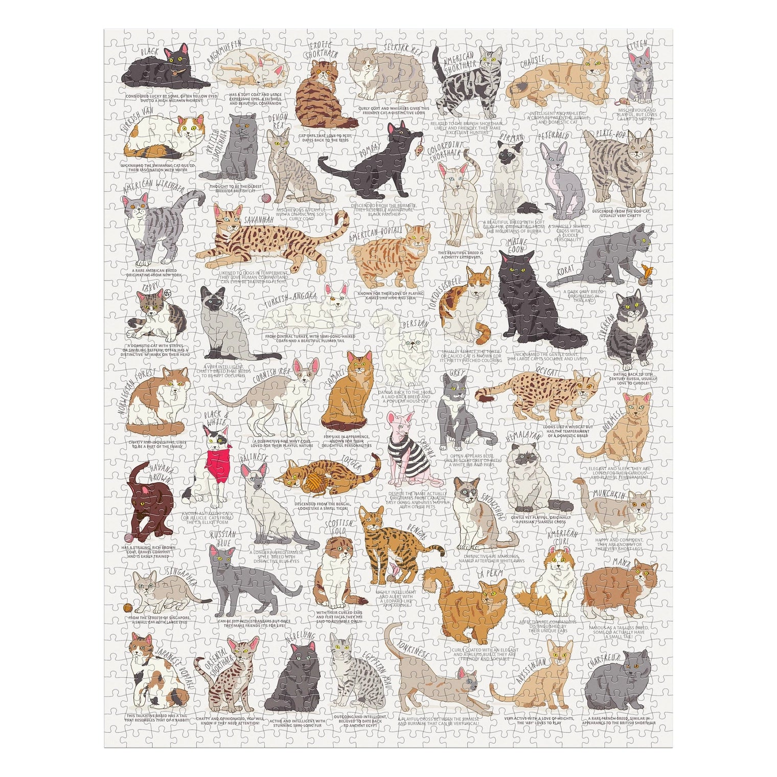 Chronicle-Hachette Book - Puzzle Cat Lover's (1000 Piece)