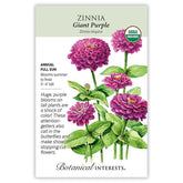 Botanical Interests, Inc. - Zinnia Giant Purple Organic Seeds