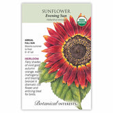 Botanical Interests, Inc. - Evening Sun Sunflower Seeds