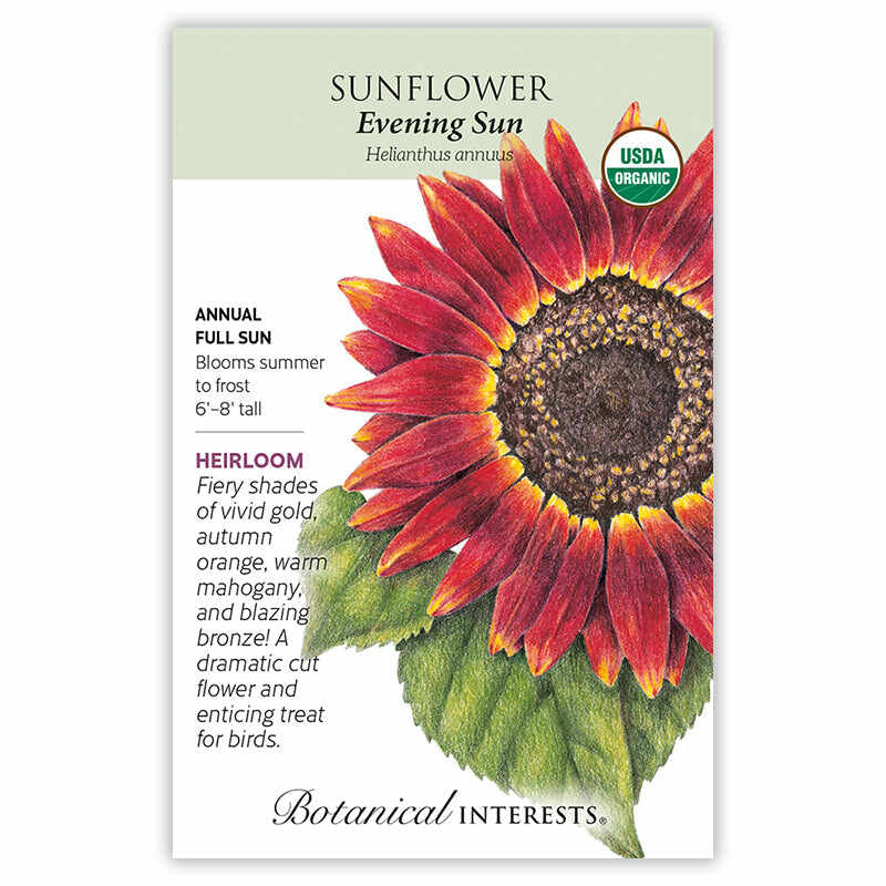 Botanical Interests, Inc. - Evening Sun Sunflower Seeds