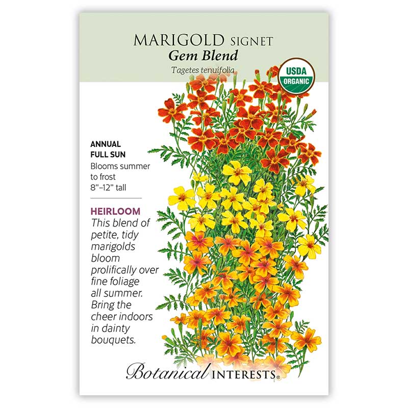 Botanical Interests, Inc. - Marigold Signet Gem Blend Organic Seeds