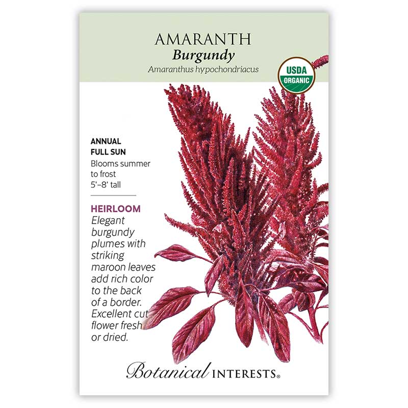 Botanical Interests, Inc. - Burgundy Amaranth Seeds - Southern Agriculture 