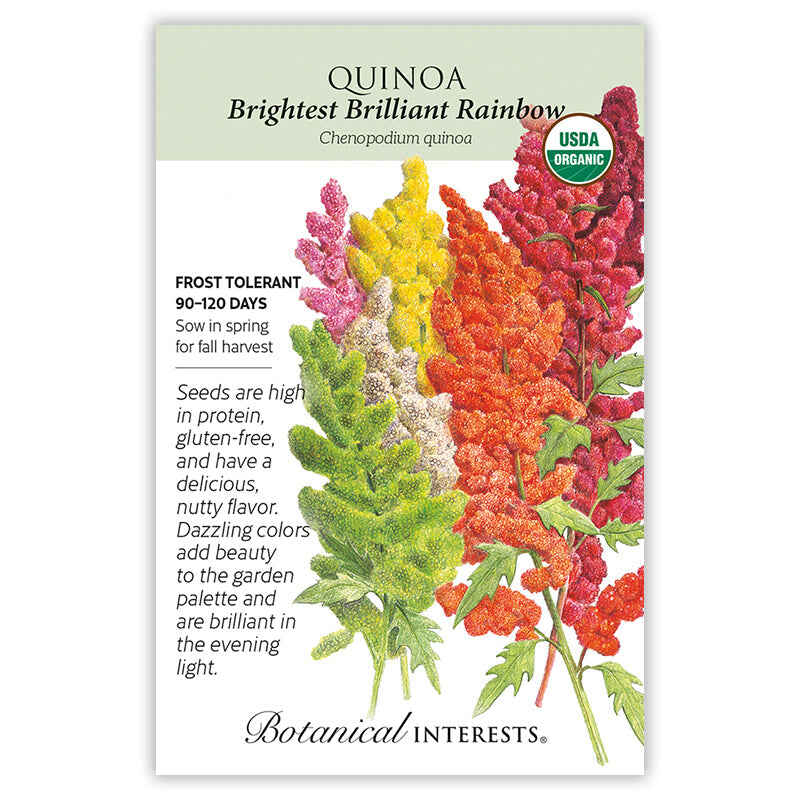 Botanical Interests, Inc. - Brightest Brilliant Rainbow Quinoa Seeds - Southern Agriculture 