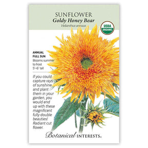 Botanical Interests, Inc. - Goldy Honey Bear Sunflower Seeds - Southern Agriculture 