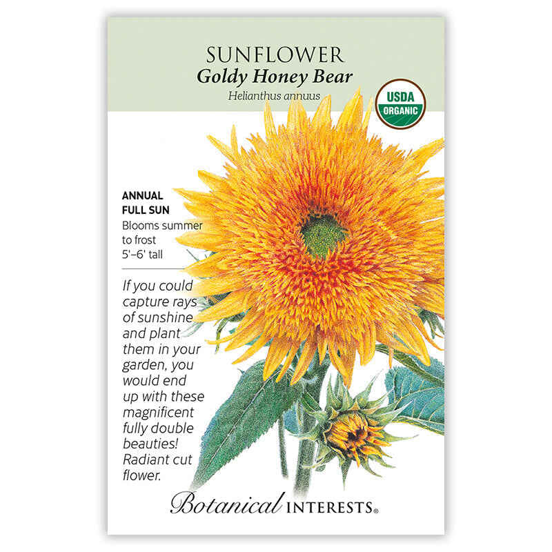 Botanical Interests, Inc. - Goldy Honey Bear Sunflower Seeds - Southern Agriculture 