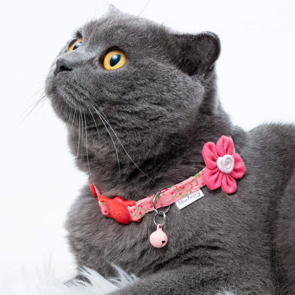 Blueberry Pet - Lovely Cherry & Floral Cat Collars