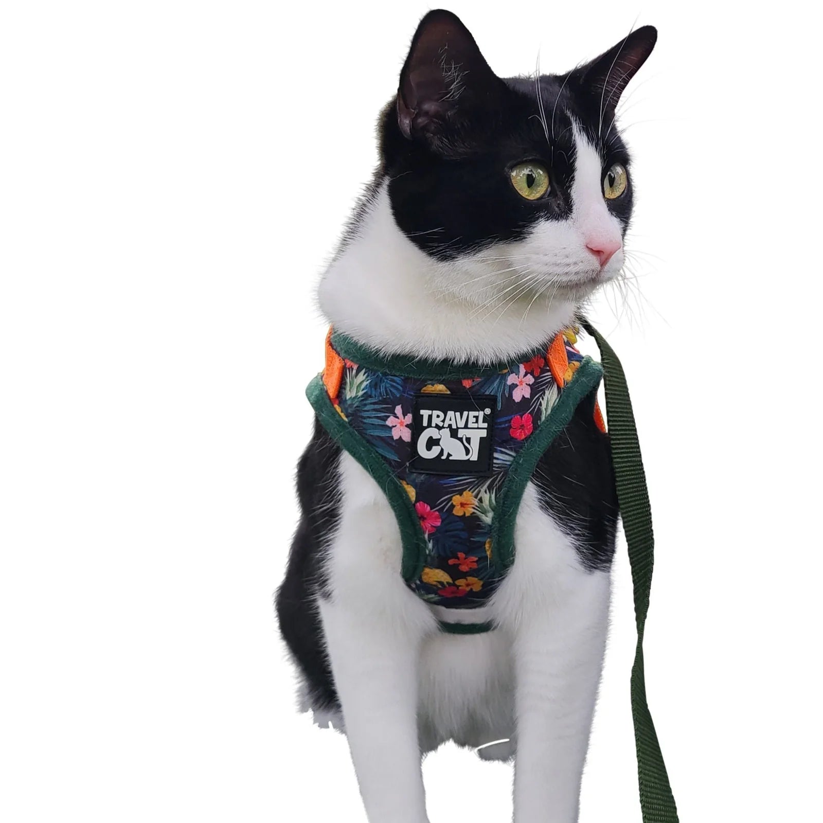 Travel Cat - Harness & Leash Set - "The Hawaiian Shirt"