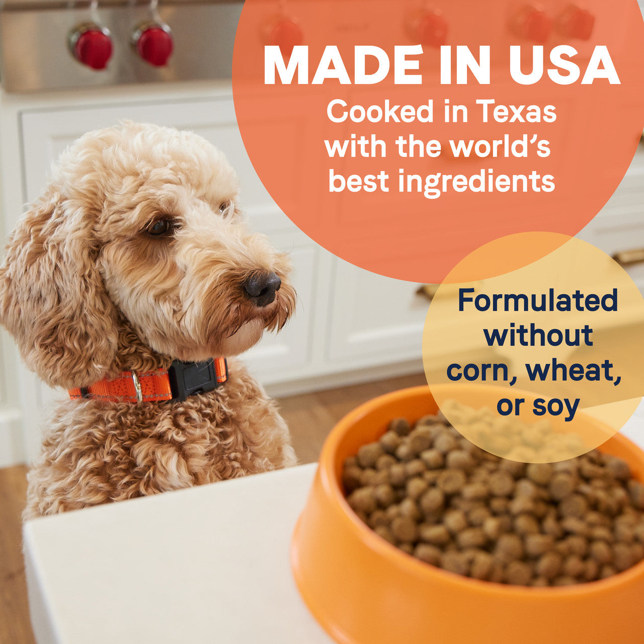 Canidae - All Life Stages, All Dog Breeds Chicken Meal and Rice Formula Dry Dog Food