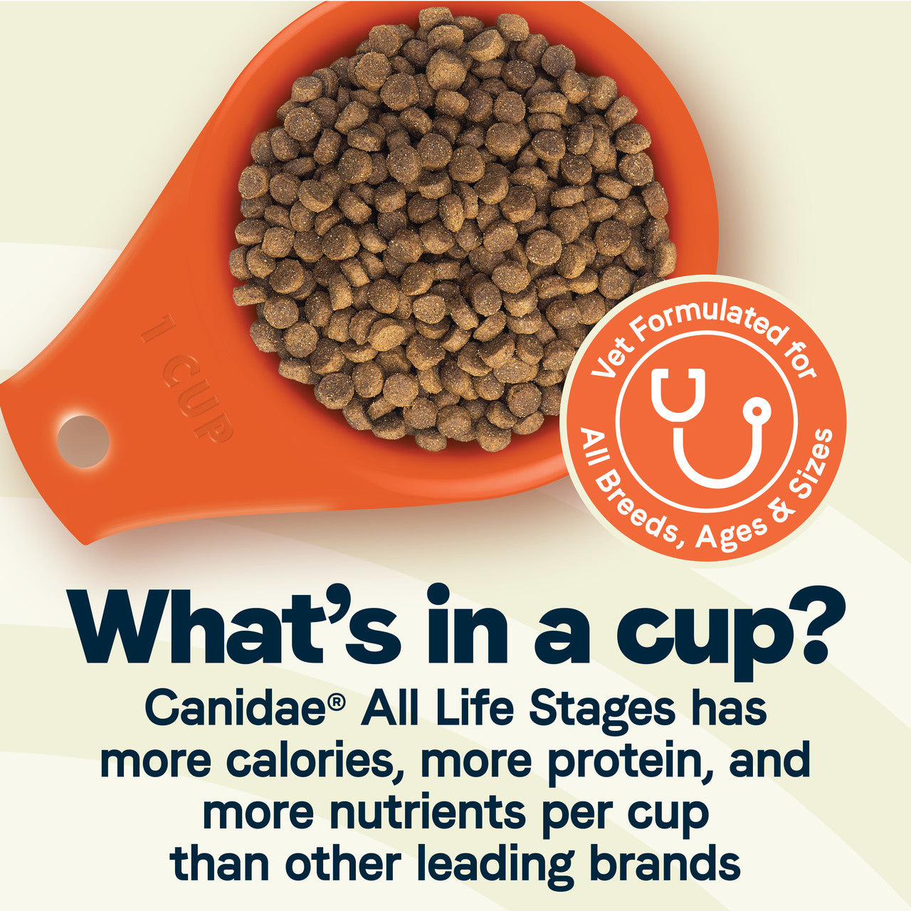 Canidae - All Life Stages, All Dog Breeds Chicken Meal and Rice Formula Dry Dog Food