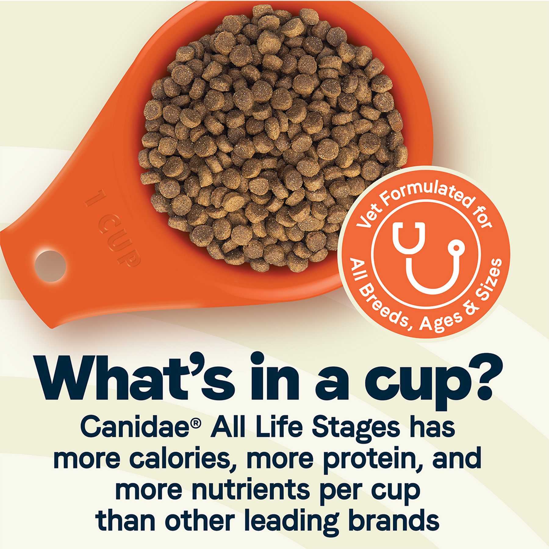 Canidae - All Life Stages, All Dog Breeds Lamb Meal and Rice Formula Dry Dog Food
