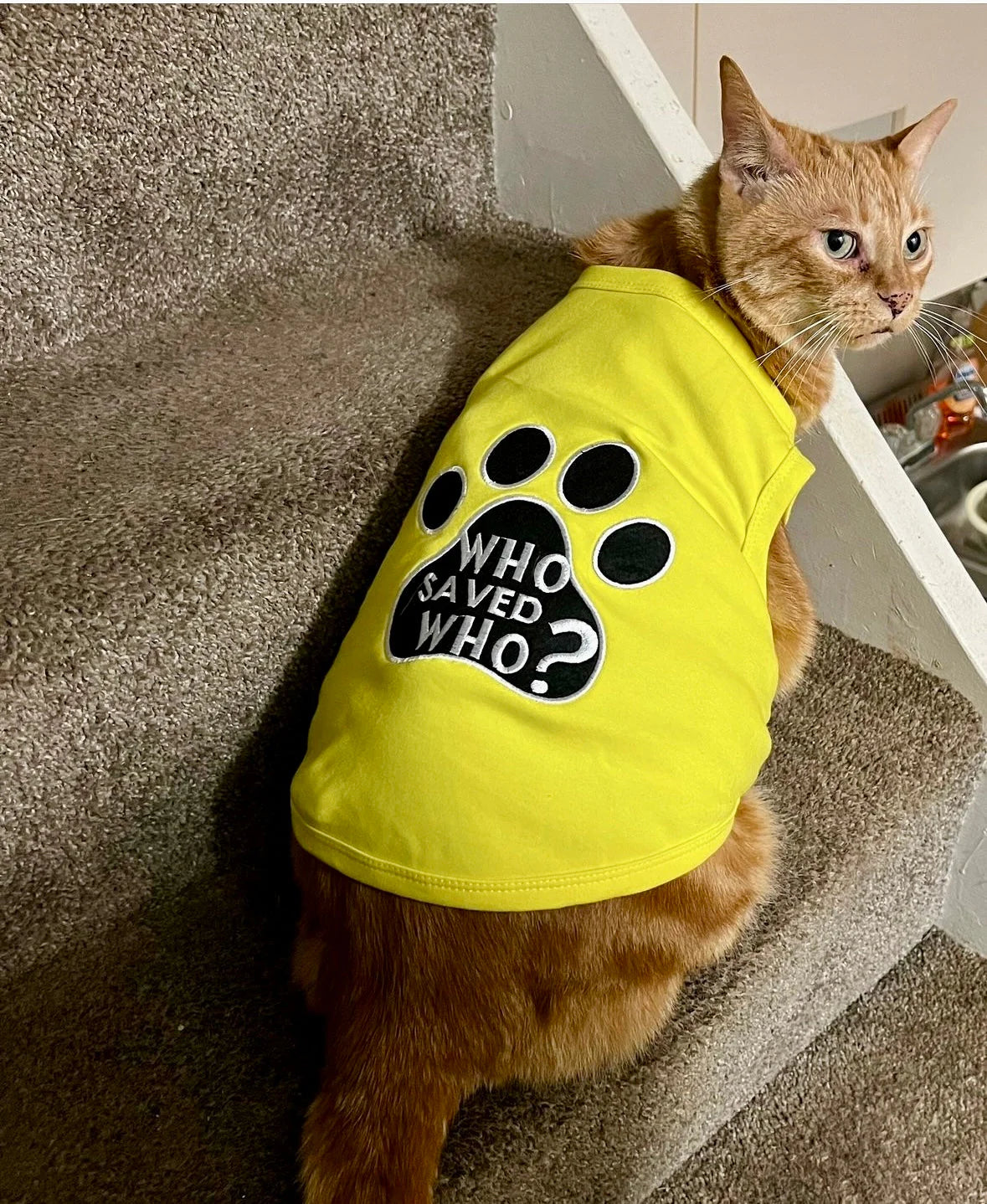 Parisian Pet - Dog T-Shirt Who Saved Who