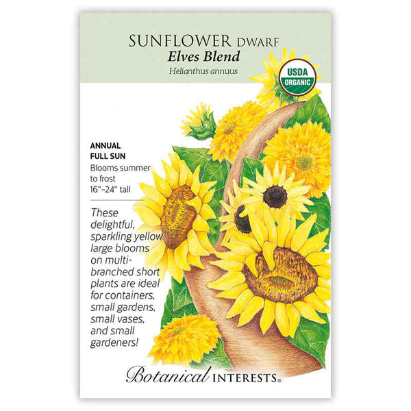 Sunflower Dwarf Elves Blend Organic Seeds - Southern Agriculture 