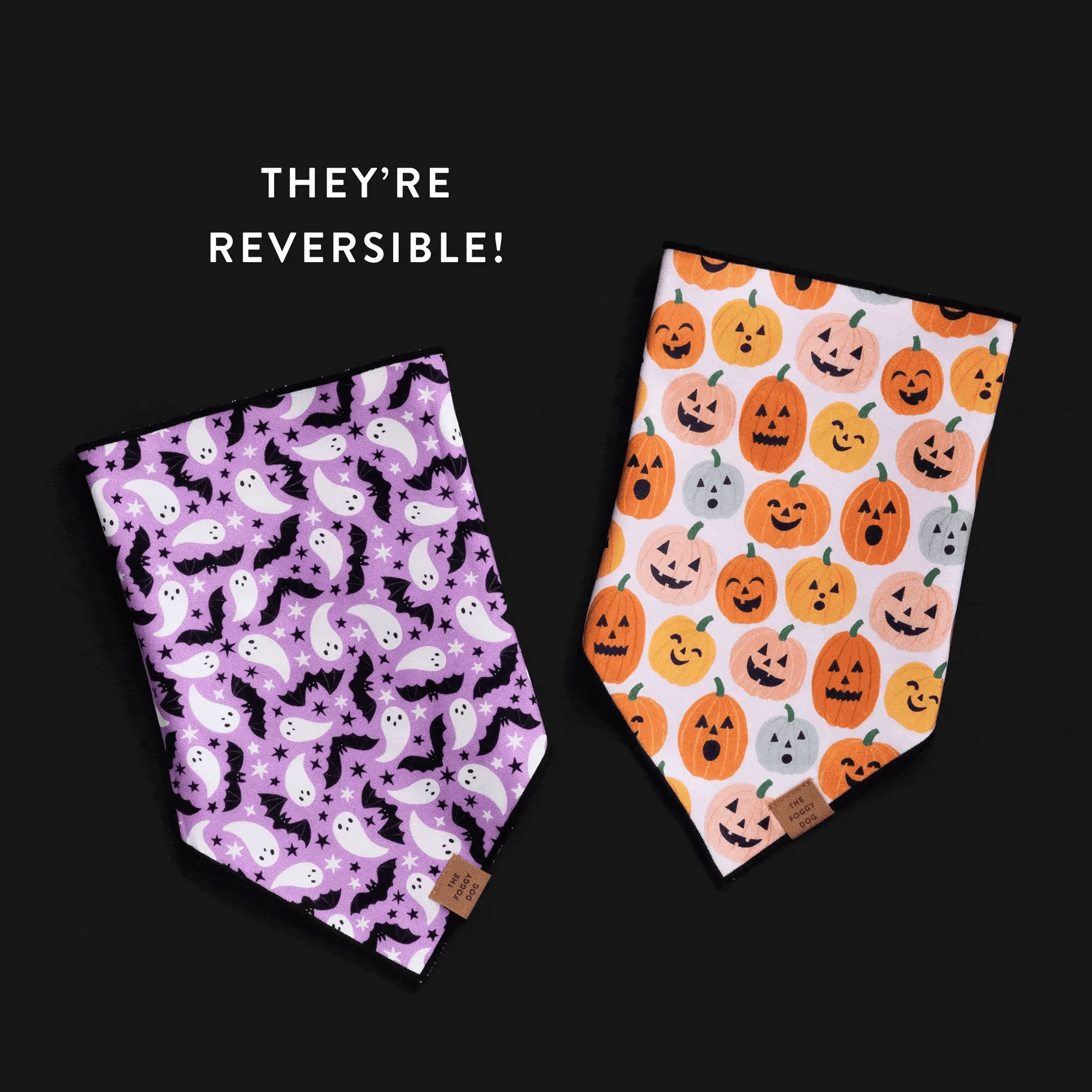 The Foggy Dog - Bandana Spooky Season