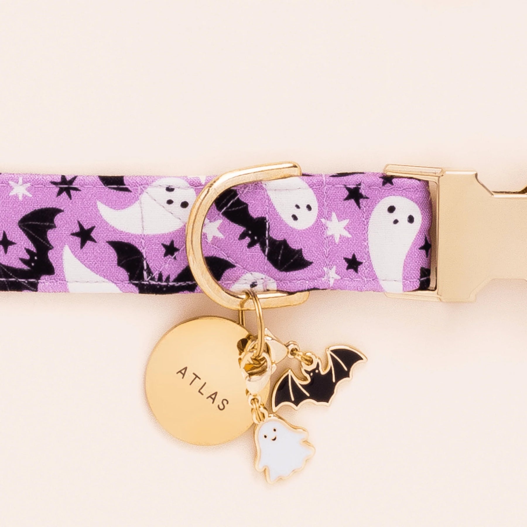 The Foggy Dog - Dog Charm Two Sided For Collar Bat