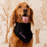 The Foggy Dog - Bandana Dog Black Velvet