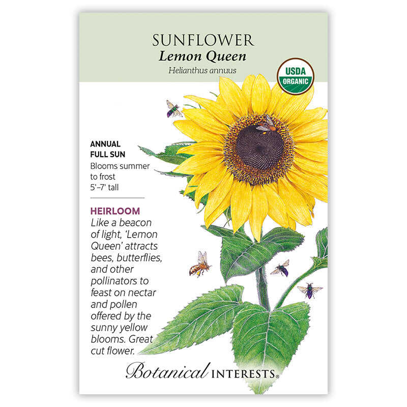 Botanical Interests, Inc. - Lemon Queen Sunflower Seeds