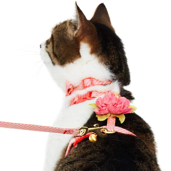 Blueberry Pet - Diagonal Striped Cat Leash & Harness Set