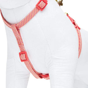 Blueberry Pet - Diagonal Striped Cat Leash & Harness Set