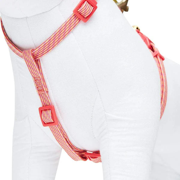 Blueberry Pet - Diagonal Striped Cat Leash & Harness Set
