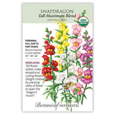 Snapdragon Tall Maximum Seeds - Southern Agriculture 