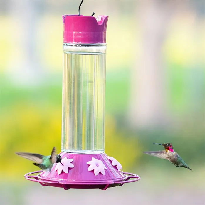 Perky Pet - Hummingbird Feeder Best Royal Berry