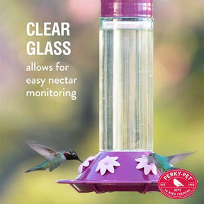 Perky Pet - Hummingbird Feeder Best Royal Berry