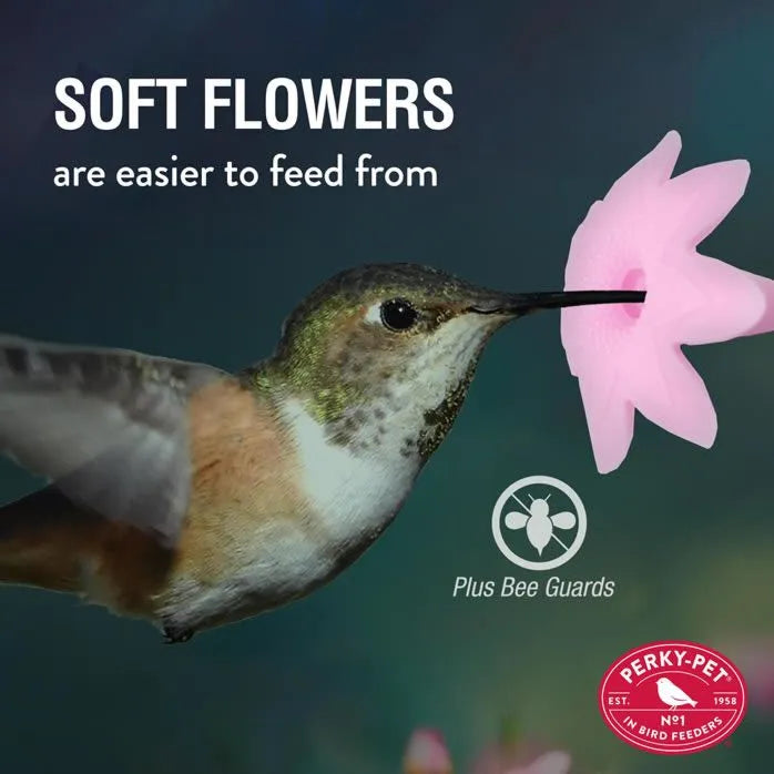 Perky Pet - Hummingbird Feeder Best Royal Berry